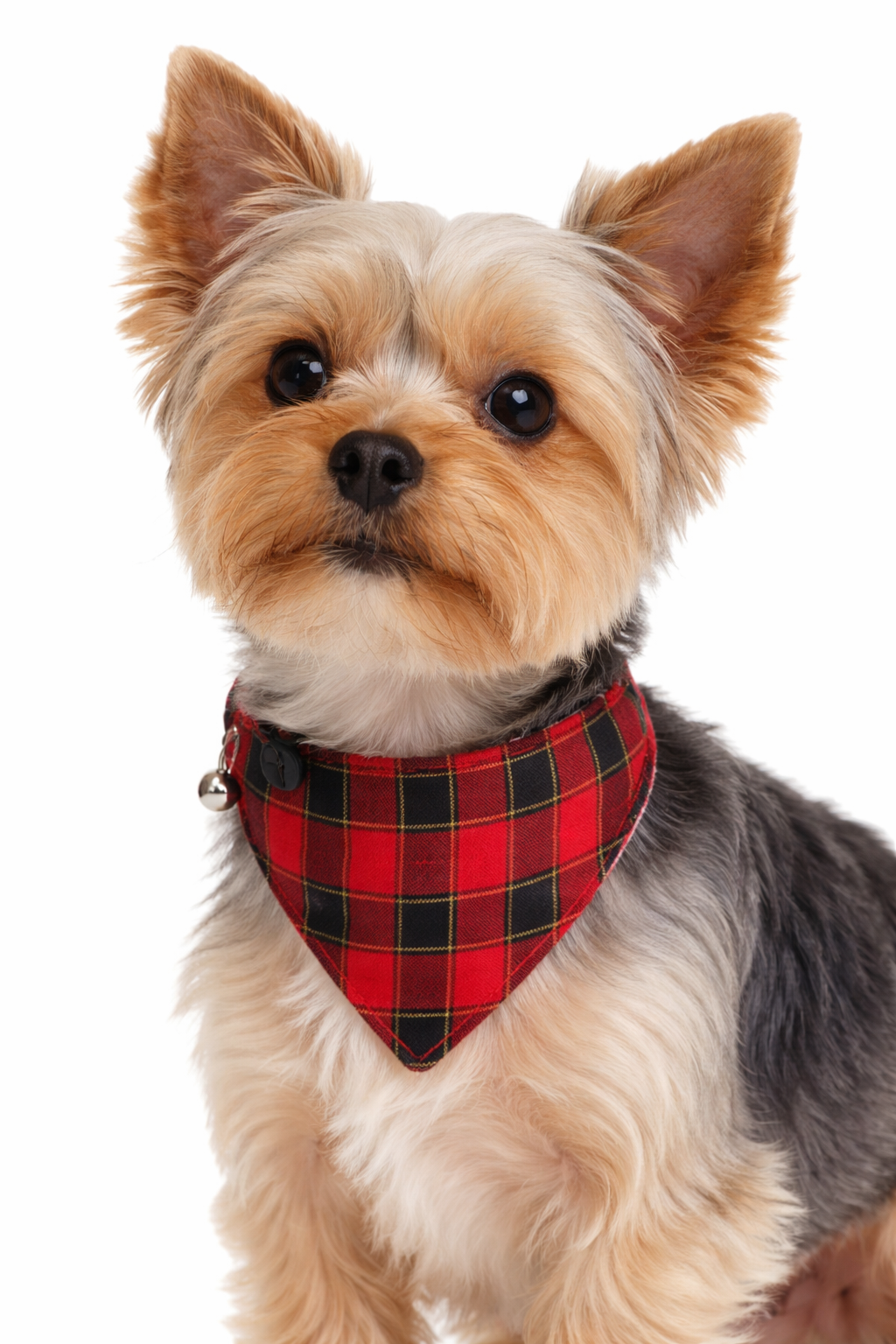 Final Sale|Christmoo – Plaid Christmas Pet Collars