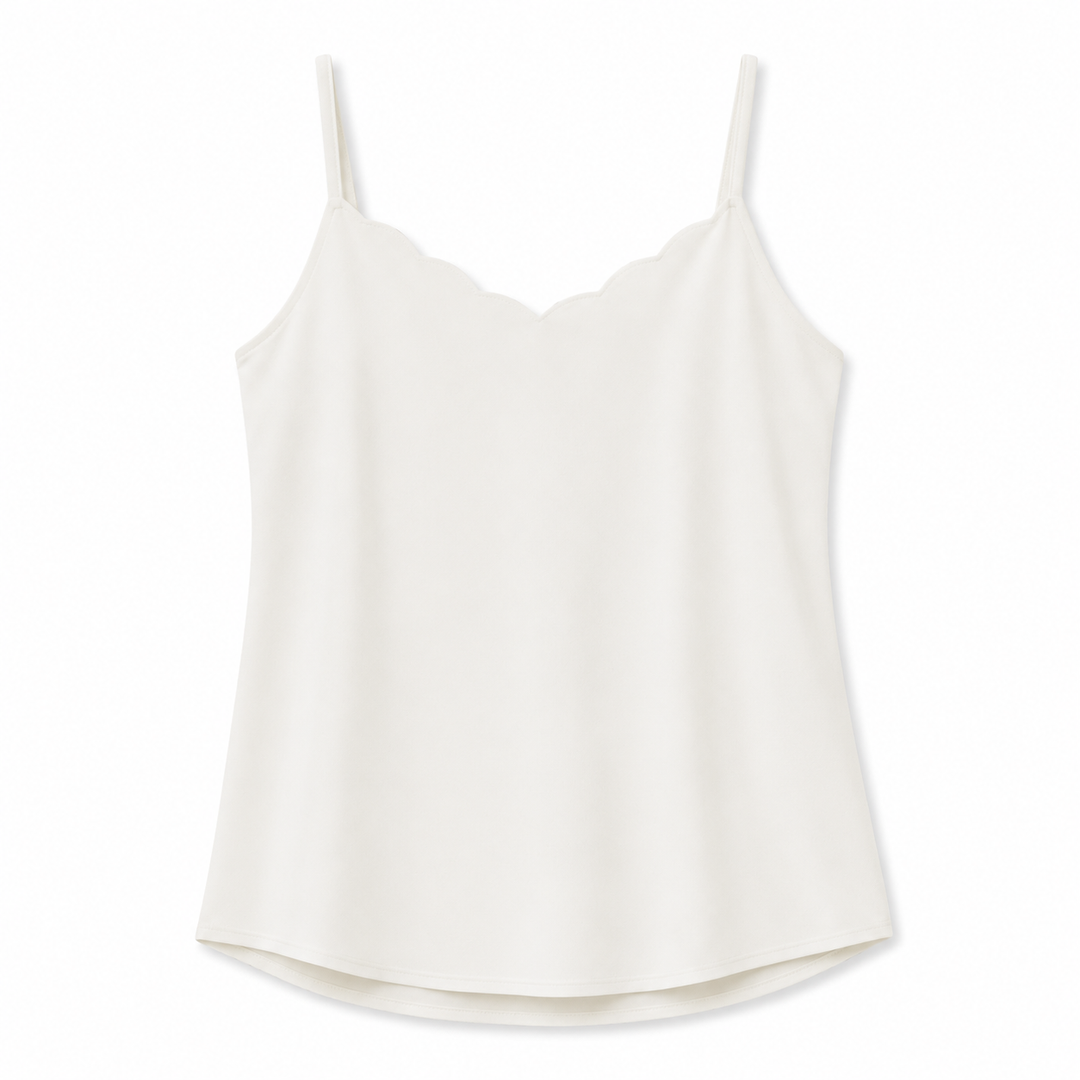 Scallop Shell