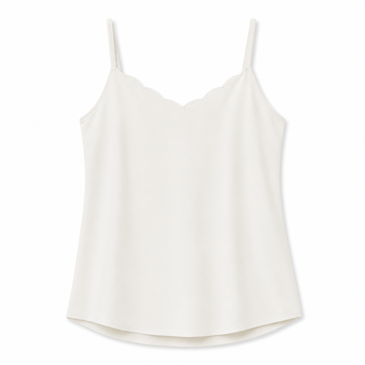 Scallop Shell